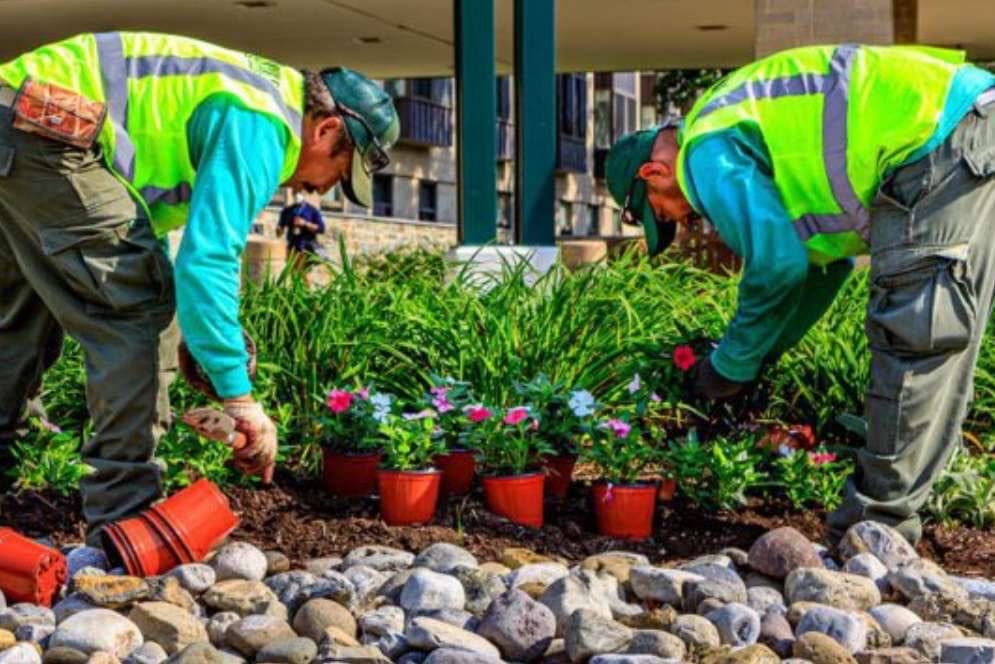 Seasonal Planting
